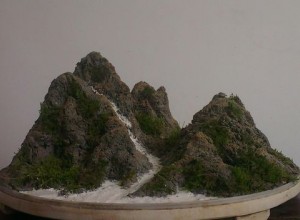 山水盆景 (13)