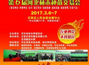 2017新春第一个苗木会  华北苗木市场风向标