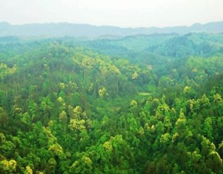 湿地补偿首次纳入四川省林业补助管理