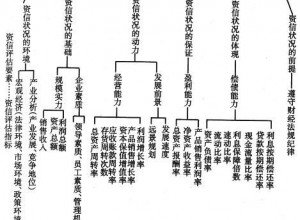 信用评级的评级指标