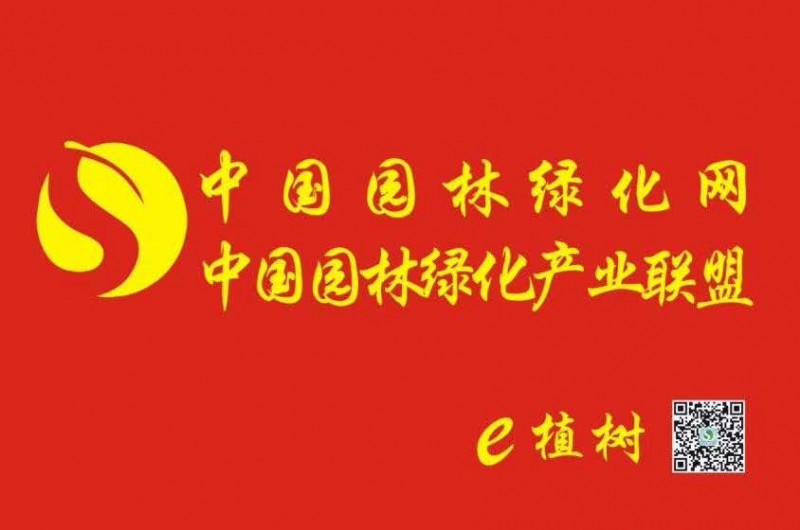 微信图片_20170901141446