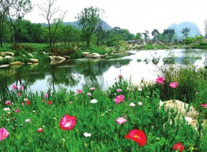 苏州：一座宜居的“生态”园林之城