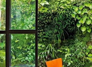 垂直绿化 · 会呼吸的墙壁 (12)