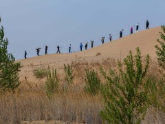 中国植树造林帮助地球变得更绿色